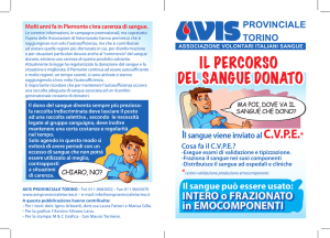 brochure - Avis Nichelino