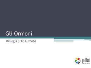 Il DNA: depositario dell`informazione genetica