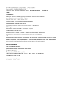 Sezione LICEO DELLE SCIENZE UMANE Programma svolto per l