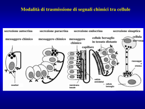 Modalità di trasmissione di segnali chimici tra cellule