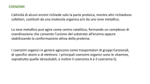 COENZIMI L`attività di alcuni enzimi richiede solo la parte proteica