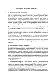 CORREZIONI proposta di soluzione SUPERCOLLA_ter(Settimio)