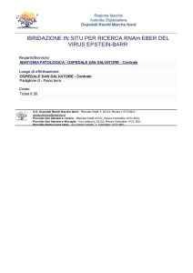 IBRIDAZIONE IN SITU PER RICERCA RNAm EBER DEL VIRUS