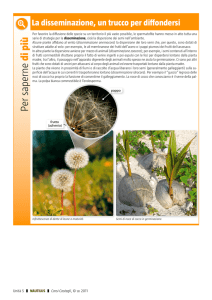 La disseminazione, un trucco per diffondersi