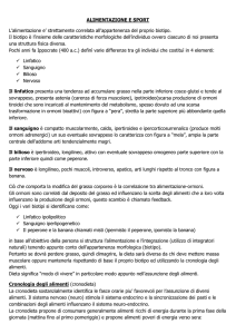 per ingrandire cliccare qui