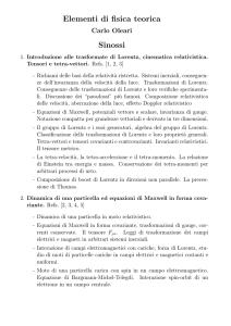 Elementi di fisica teorica Sinossi