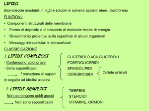 Acidi grassi saturi