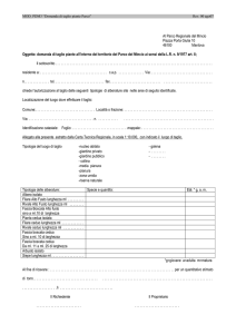 PDM2 - Sportello Unico Comune di Mantova