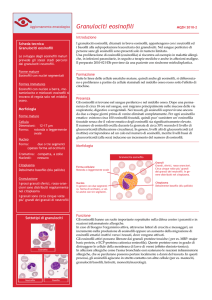 Granulociti eosinofili