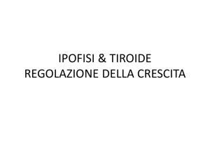 4-TIROIDE+REGOLAZIONE CRESCITA