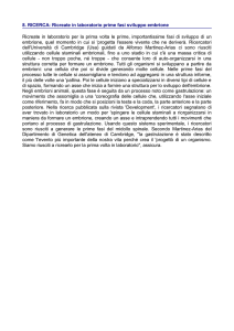 8. RICERCA: Ricreate in laboratorio prime fasi sviluppo embrione
