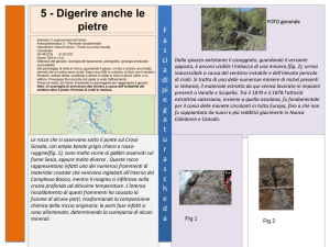 5 - Digerire anche le pietre