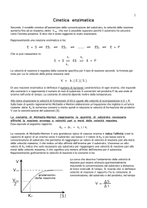 Cinetica enzimatica