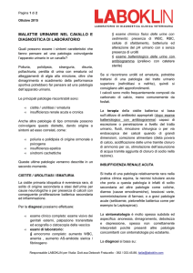 malattie urinarie nel cavallo e diagnostica di laboratorio
