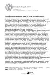 Ecografia delle anse intestinali