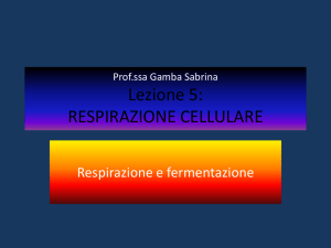 Lezione 1: LA TERRA NELLO SPAZIO - "Giovanni Penna"