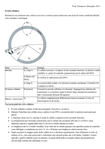 Prof. Giampiero Meneghin 2013 Il ciclo cellulare