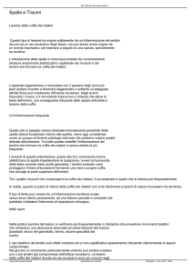 Spalla e Traumi