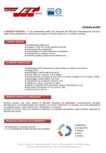 Diapositiva 1 - Microtel Group