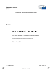 IT IT DOCUMENTO DI LAVORO