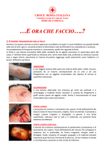 1.3 Lesioni traumatiche della pelle - Curinga