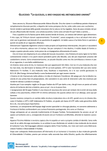 glucosio: “la glicolisi, il mio viaggio nel