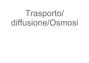 proteina di trasporto