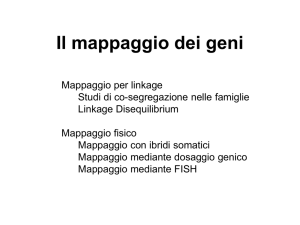 Il mappaggio dei geni
