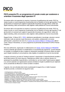 PICO presenta P3, un programma di canale creato per sostenere e