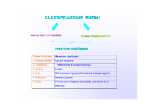 CLASSIFICAZIONE ENZIMI nome raccomandato nome