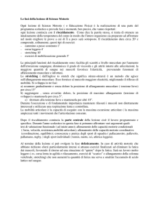Le fasi della lezione di scienze motorie