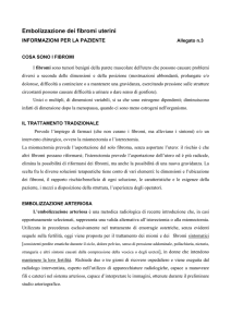 Embolizzazione dei fibromi uterini - San Camillo