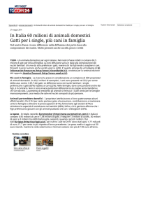 In Italia 60 milioni di animali domestici Gatti per i single