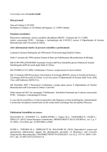 Curriculum vitae