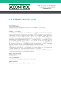 hla morbo celiaco dq2-dq8