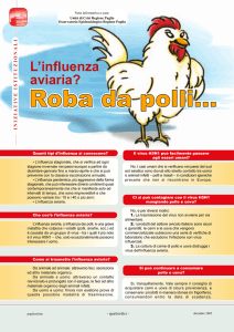 L`influenza aviaria: roba da polli