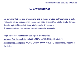 Diapositiva 1 -
