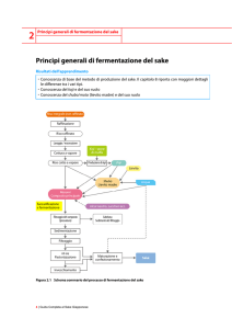 2 Principi generali di fermentazione del sake