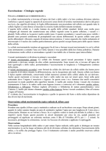 Esercitazione - Citologia vegetale