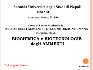 Lezione 14- (28.04.16 e 02.05.16) Enzimi