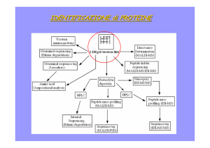 IDENTIFICAZIONE di PROTEINE