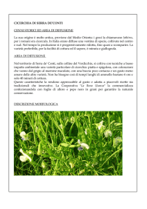 Scheda cicerchia di serra de conti