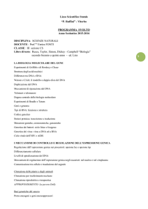 Scienze - Liceo Scientifico Statale Ruffini Viterbo
