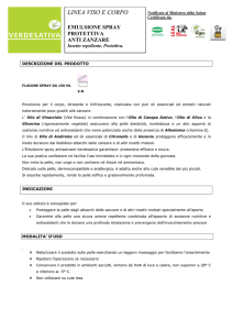 Descrizione del prodotto