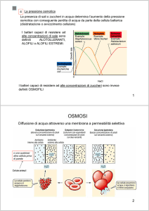 OSMOSI
