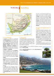 Sudafrica - Libro più web