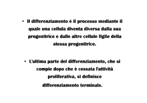 • Il differenziamento è il processo mediante il Il differenziamento è il