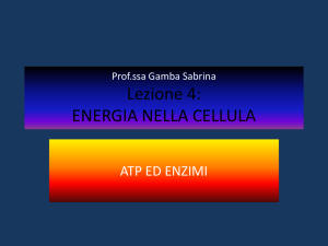 Lezione 1: LA TERRA NELLO SPAZIO - "Giovanni Penna"