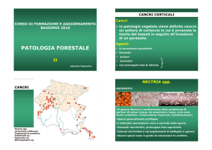 PATOLOGIA FORESTALE
