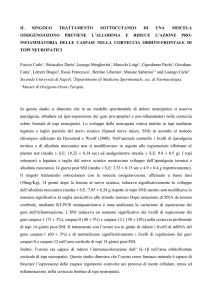 il singolo trattamento sottocutaneo di una miscela ossigeno/ozono